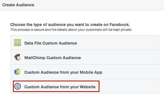 Create Custom Web Audience