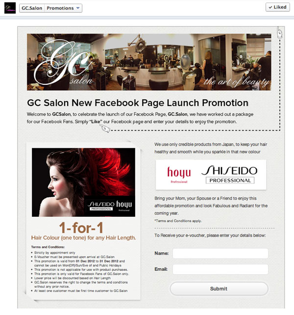 Facebook Promotion Landing Page