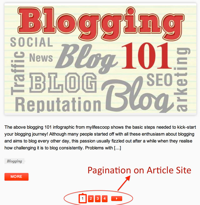 Pagination Article Screenshot